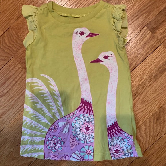 Tea Collection Bundle - Picture 2 of 9